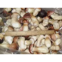 Белые замороженные грибы
